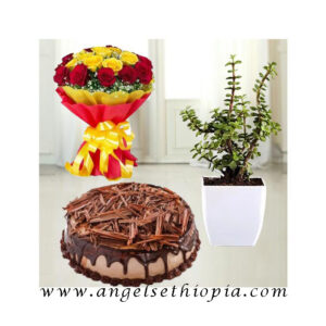 Gift for Bright Day at Office or Home